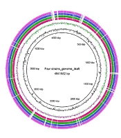 Jundishapur J Microbiol
